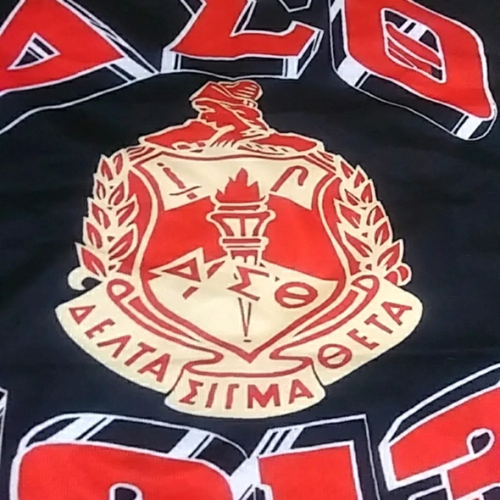 Delta Sigma Theta Sorority pillow cover